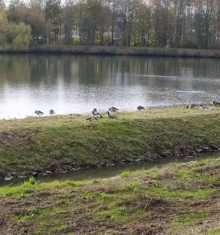 Seekrug Am Obersee